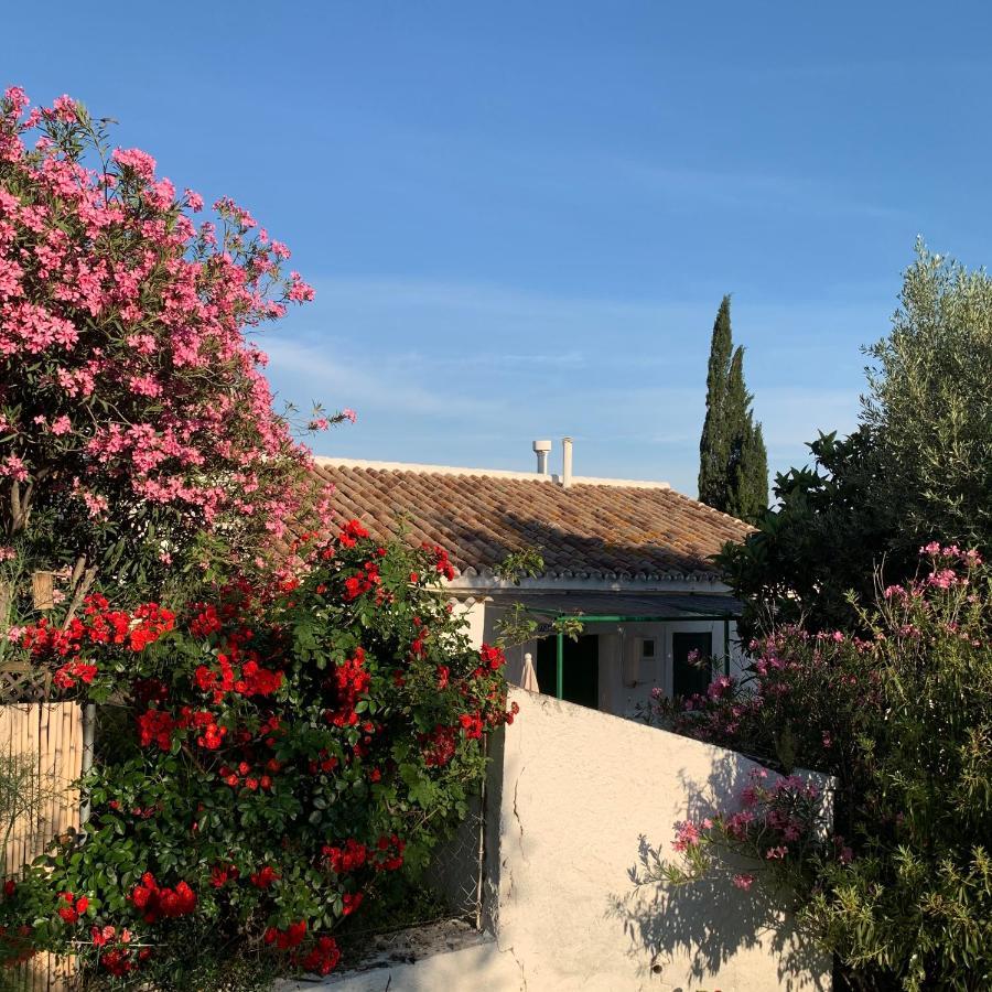 Casa Anita - La Almona Chica Guest House El Chorro Bagian luar foto