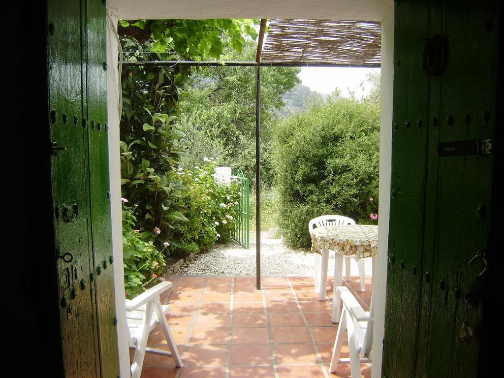 Casa Anita - La Almona Chica Guest House El Chorro Ruang foto